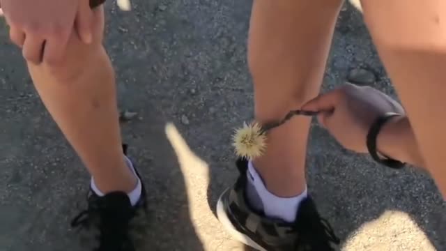 Bonus Meme Compilation Part 22