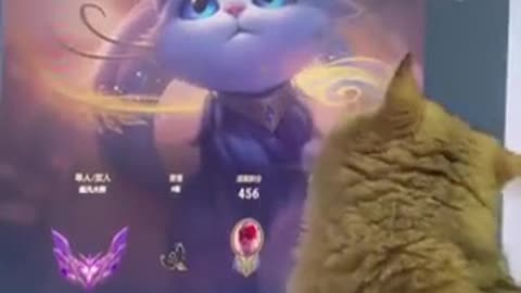 Horny Pu*sy Cat getting his Licks In hehe