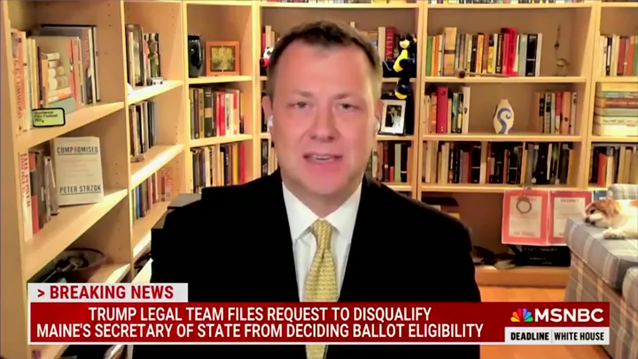 Ex FBI Agent Peter Strzok's Warning About Trump And Insurrection Melts Projection Detectors