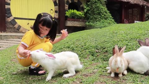 Lets feeding animal