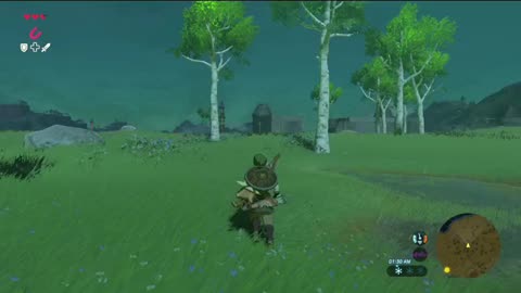 A bit of Gameplay From Legend of Zelda Breath Of The Wild
