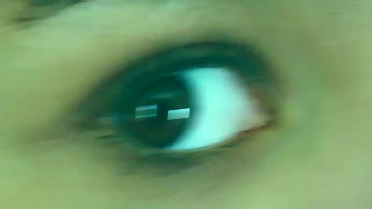 Tora Tora - Are You