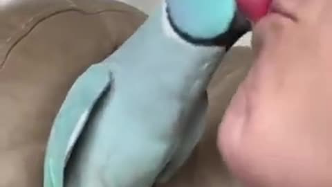 Funny video