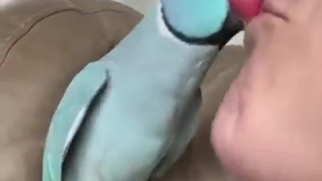 Funny video