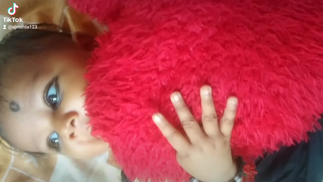 Cuty
