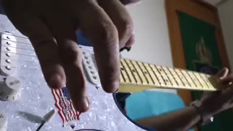 Guitarra SX Stratocaster Swamp Ash
