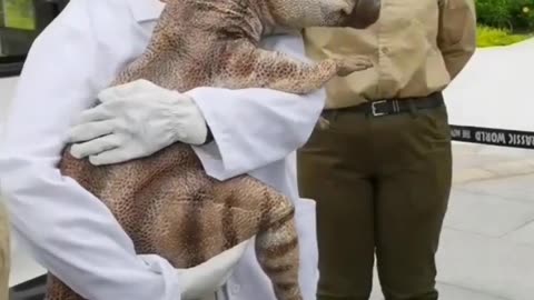 What is this animal called