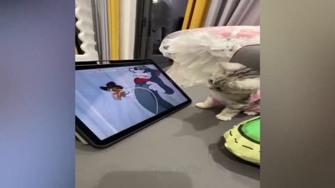 NEW FUNNY videos 2024