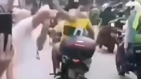 Brazil: Soy Boy gets smacked with reality