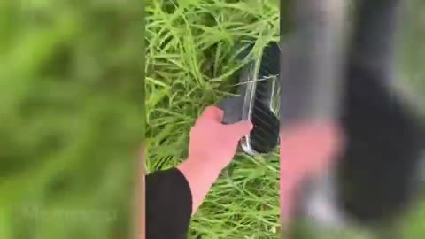 funny video 🤣😂