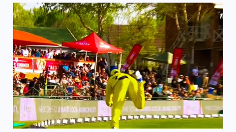 Spectacular Catch #shortvideo #viralshot #trendingvideo #cricketlover