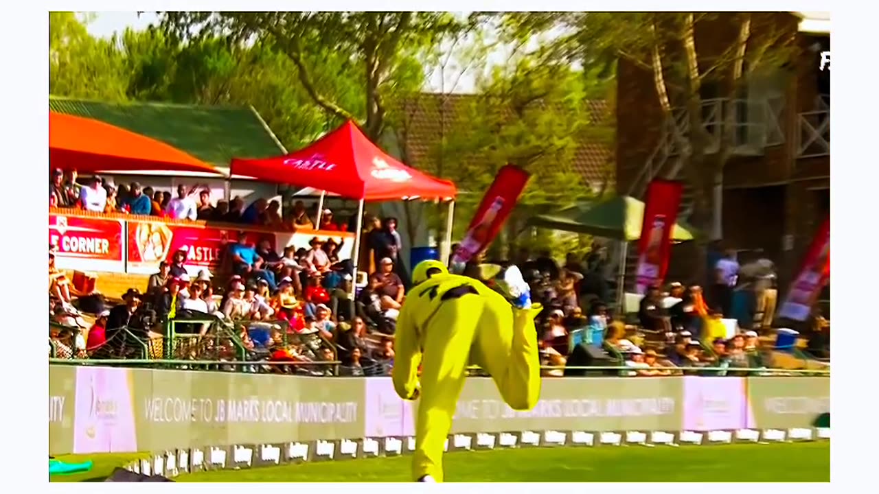 Spectacular Catch #shortvideo #viralshot #trendingvideo #cricketlover