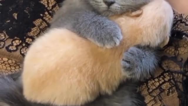 I'm dying of sweetness