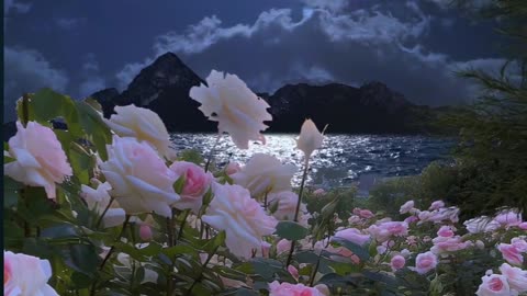 Beautiful Feelings
