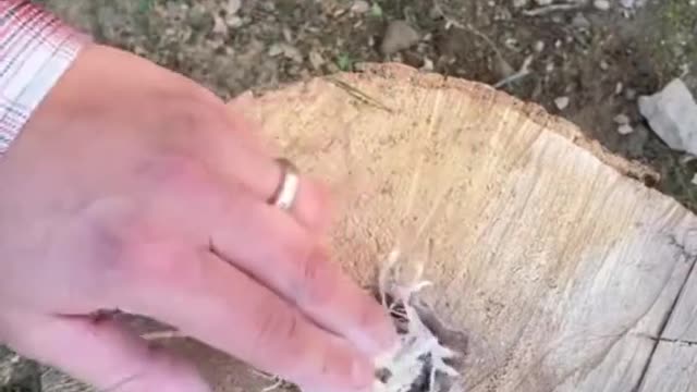 Teach you to use a piece of wood to burn all day.