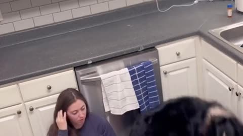 SERVICE DOG TAKES GOOD CARE OF IT’S OWNER