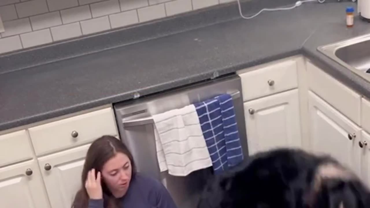 SERVICE DOG TAKES GOOD CARE OF IT’S OWNER