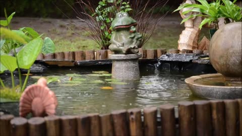 Rain in the Garden for Peace and Relaxation