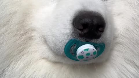 You are not my mom!