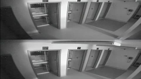 1704CRIB01CribAnalysisArea_2021-01-05_03h40min01s960ms.mp4