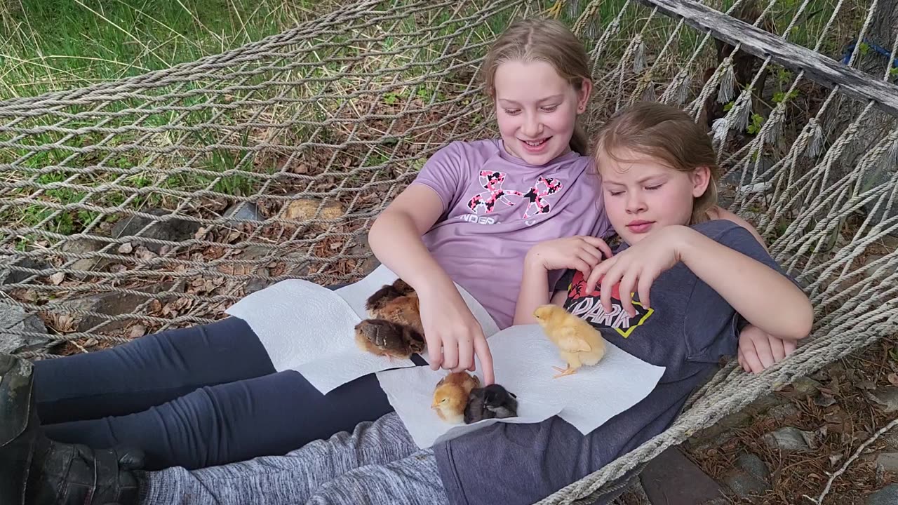 Girlswithchicks