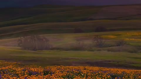 There is hope at sunrise and thought at sunset