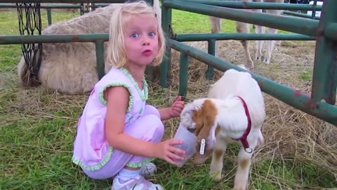 TRY NOT TO LAUGH _ Funny Babies At The Zoo - LAUGH TRIGGER