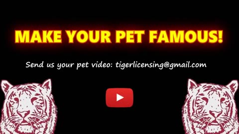 Hilarious Showdown: KIDS vs ZOO ANIMALS for Ultimate Laughs - Take the Challenge!
