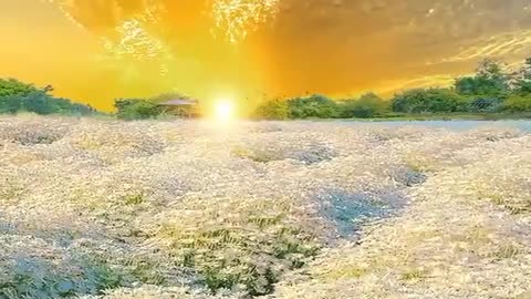 Beauty of world 🌎