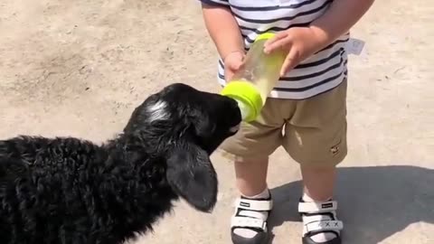 Baby help small got drinking water.