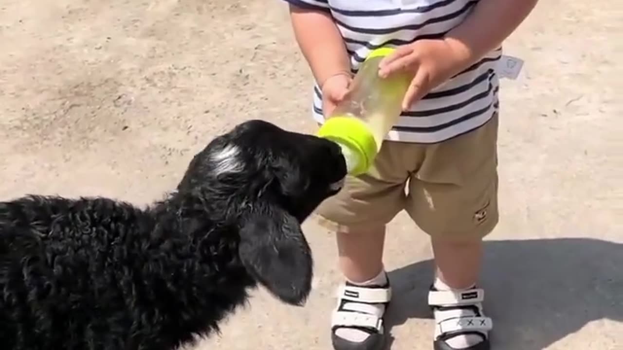 Baby help small got drinking water.