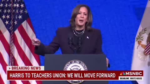 Bringing the fight to Trump': How VP Kamala Harris candidacy has energized American politics