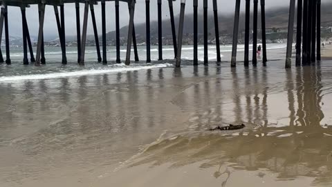 Pacific Coast