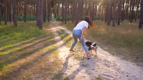 The Full Story Of My Dog Becoming Best Friends!!