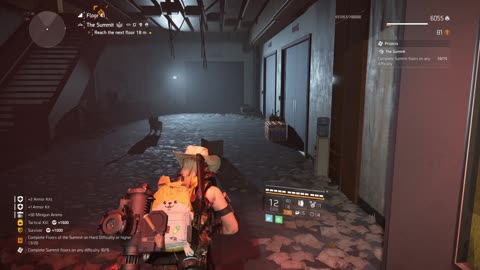 THE SUMMIT (3 FLOORS) using Blindfire Build / 19-11-24 #Gameplay #Division2 #TomClancy #WZ #RTX4070