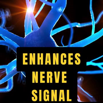 The Essential Role of Potassium in Your Health #shorts