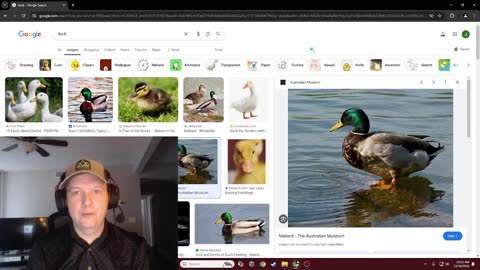 Is it a duck???