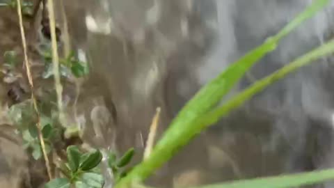 Rainy Time 🌧️