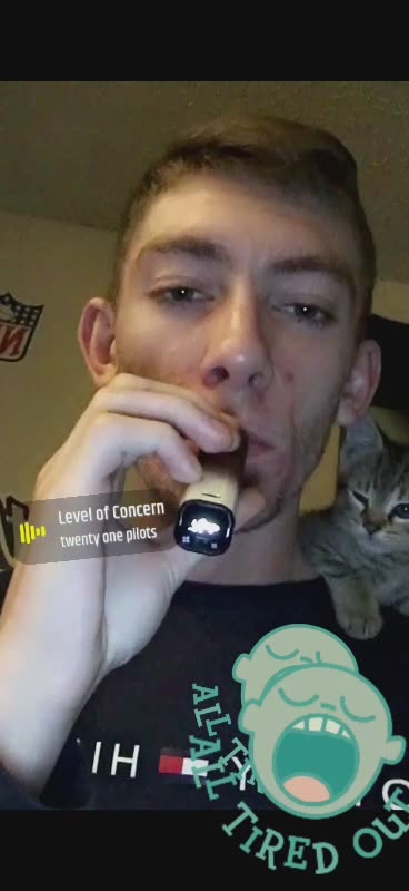 Parrot Cats are a thing!!