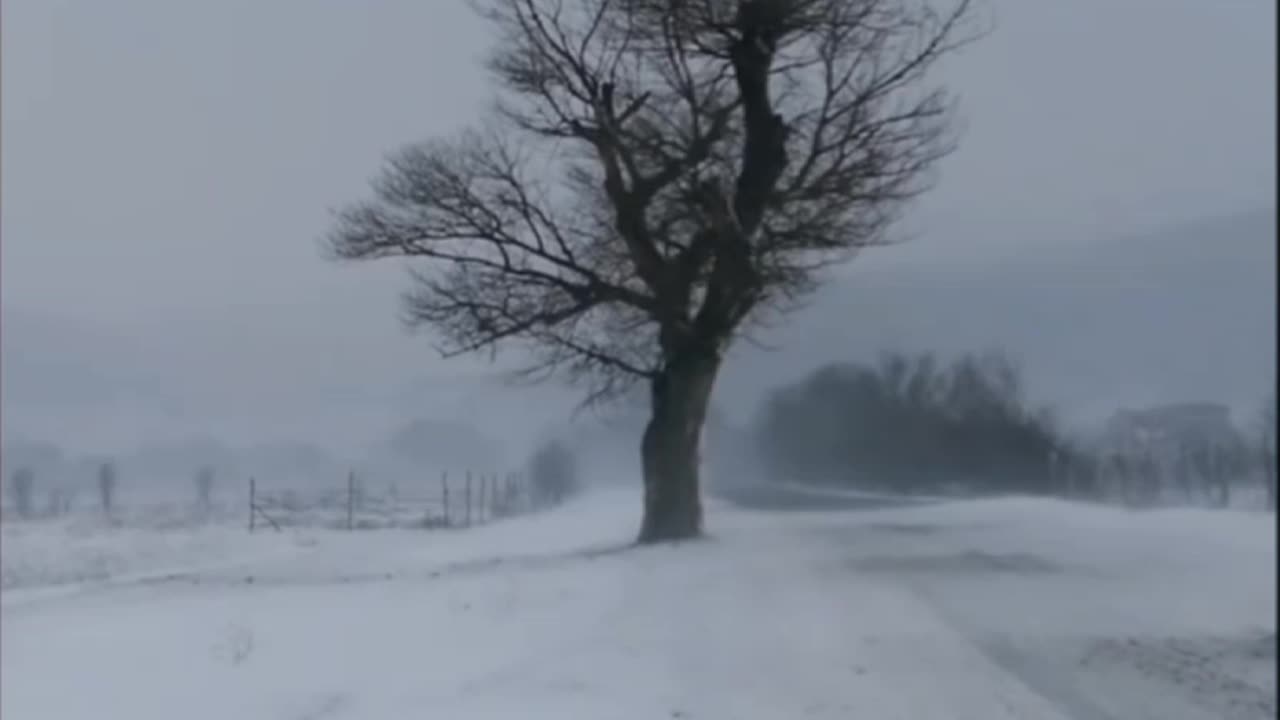 Winter is only Temporary, My Enduring Soul