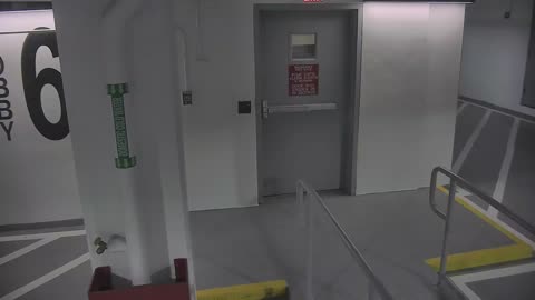 6053RHOBG2G206NorthLobby_2021-01-05_02h00min02s117ms.mp4