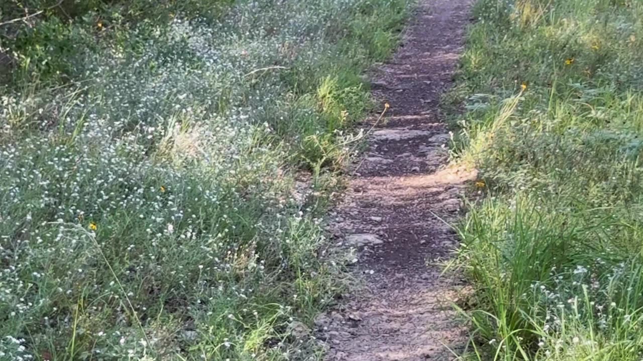 Government Canyon park