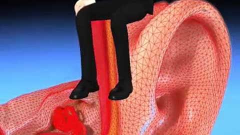 How EARPHONES Damage Your Ears_ (3D Animation) @shorts.mp4