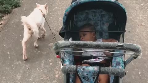 Dog and baby friendship