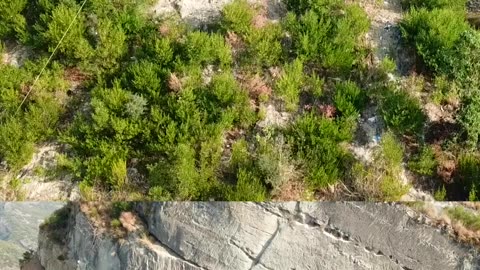 Mountain Drone