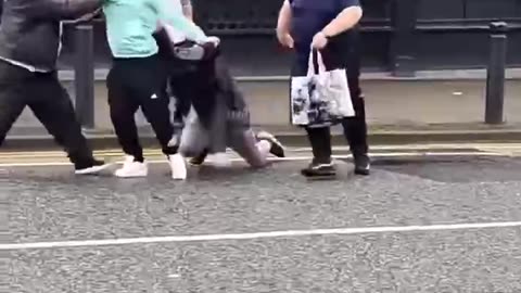 Universal Credit - The Movie (Fight)