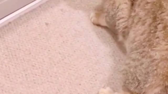 Just a mirror😂😃