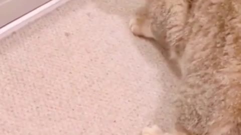 Just a mirror😂😃