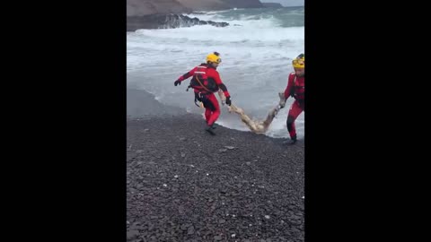 What Did They Just Pull Out Of The Water？