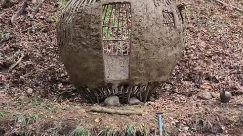 Wildlife game | try once wildlife | wildlife 2024 | inspiration video 2024 | only rumble